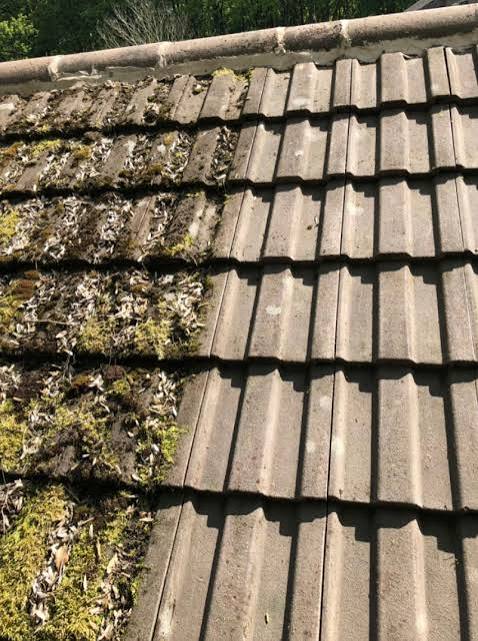 Roof cleaning